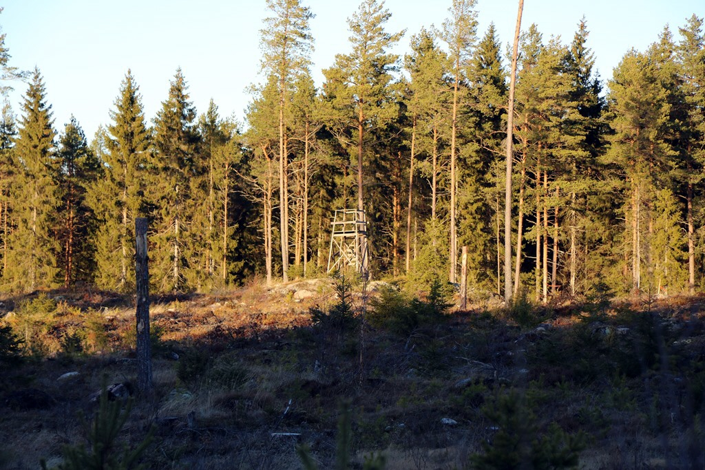 HEBY HUDDUNGEBY 3:5 DEL AV, SKIFTE 14 Natur & kultur forts... observationer på fastigheten har använts FORNSÖK. På denna fastighet har inga observationer kunnat noteras.