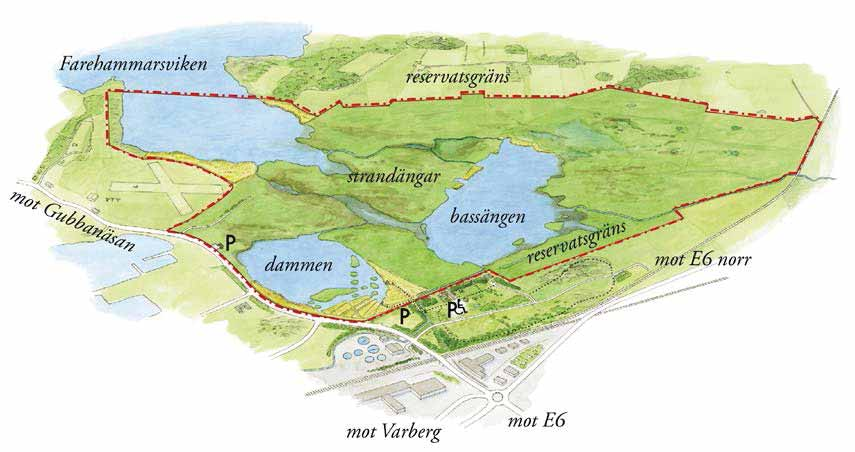 Miljökonsekvensbeskrivning Kapitel 9 - Naturmiljö Varbergstunneln, Västkustbanan, Varberg-Hamra Bevarandeplan för Getteröns fågelreservat SE0510049.