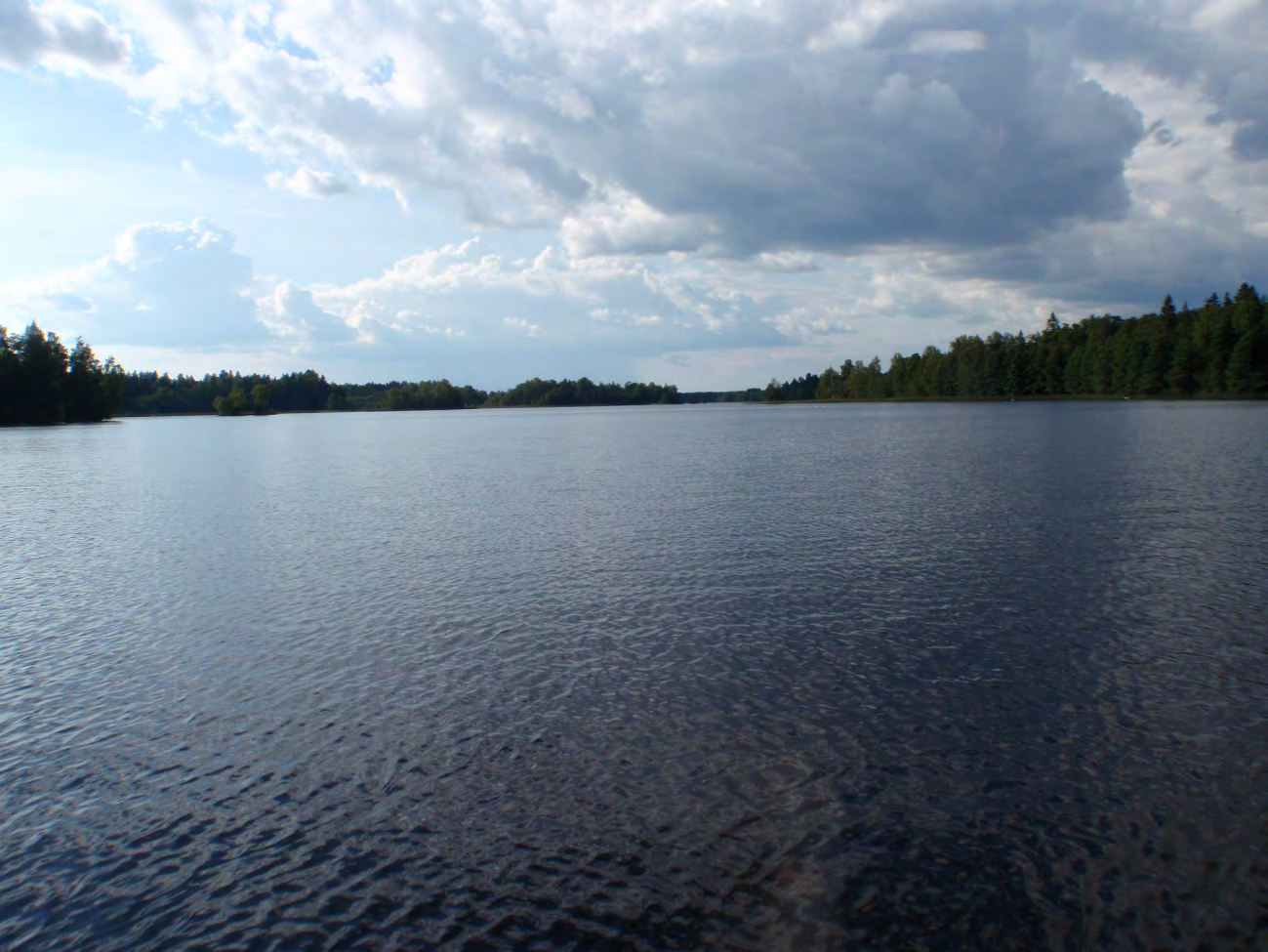 8. Långforsen Vattenområdesuppgifter Län: 19 Västmanland Sjö/vattendrag: Långforsen Kommun: Sala Lokalnummer: 8 Top.