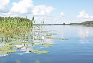 Upplevelseträdgården erbjuder en mängd olika aktiviteter alla med syfte att ge naturupplevelser för både