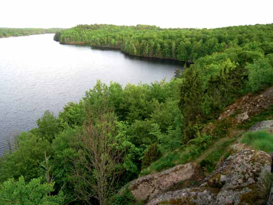 Ädellövskogens värden Områden med naturvärden och kulturmiljövärden går inte att flytta. Det finns historiska orsaker och speciella förutsättningar som gör att de ligger där de ligger i landskapet.