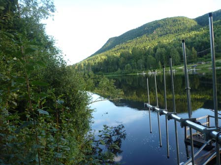 uppskatta fiskens fördröjning vid fällan i Forshaga 4.