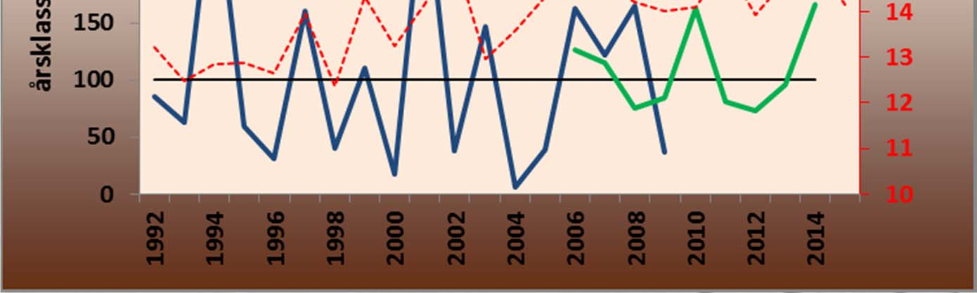 Årsklasserna 2008, 2009, 2011 och 2012 var svagare än normalt (Nordic) medan 2006, 2007 och 2010 var starkare än normalt. Årsklass förväntas 2014 bli stark.