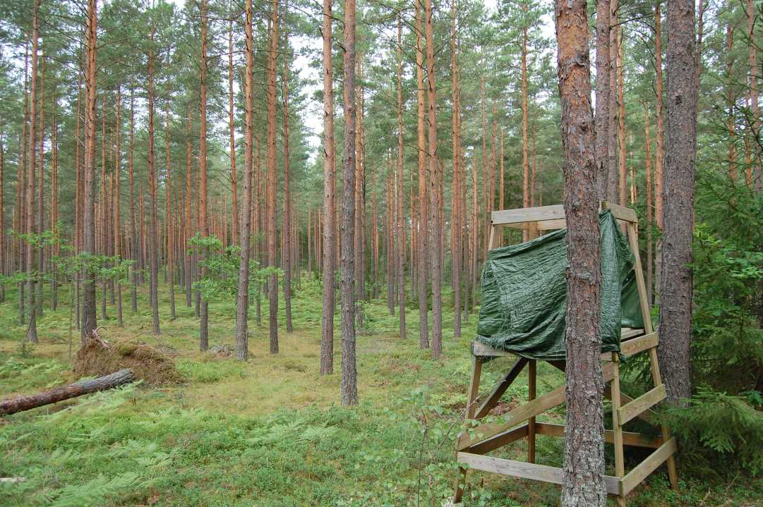 Obebyggd skogsfastighet ca 8 km väster om Kalmar med en total areal om 21,1 ha varav 21 ha skogsmark