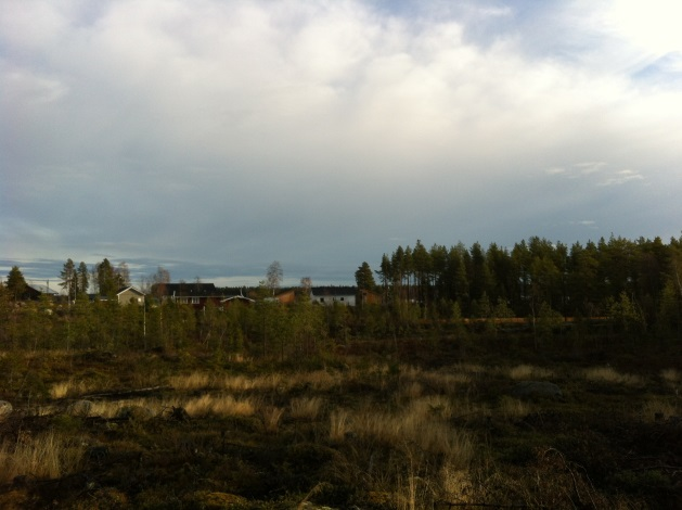 Sida 4 av 10 FÖRUTSÄTTNINGAR Natur Mark och vegetation Området är relativt plant och består av avverkad skogsmark med sly.