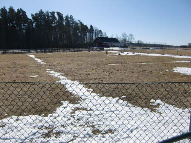 Miljöbilder Skerrud skola Ex på rumslighet, gräsyta, grusyta, asfalt och skogsdunge Skerrud skola