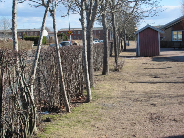 skolgårdsutveckling.