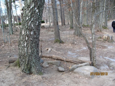 Vegetation och topografi På skolgårdar med naturmark är barn mer uppfinningsrika och leker fler lekar även på asfalten.