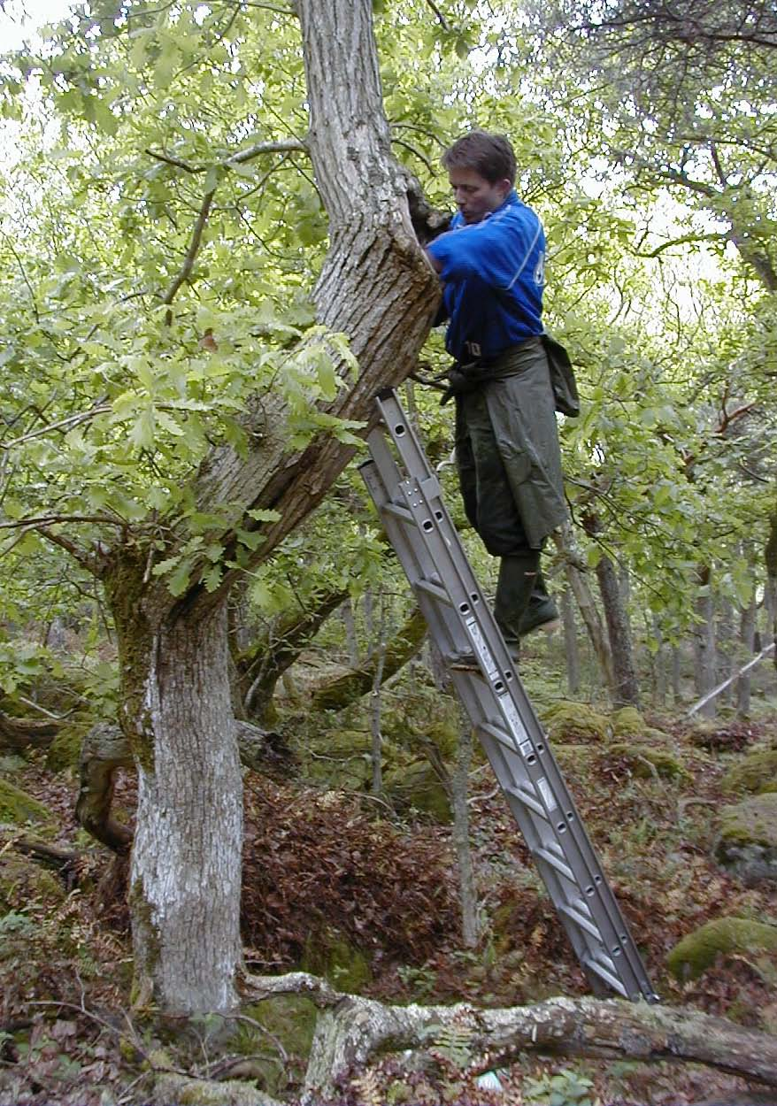 Länsstyrelsen Halland Enheten för naturvård & miljöövervakning Meddelande 2004:23