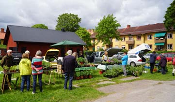Söndag 4 juni, kl 13:00-15:00 Växtmarknad. Första söndagen i juni har det blivit en tradition att samlas på Smedsgården för att köpa och sälja växter eller bara umgås över en kopp kaffe.