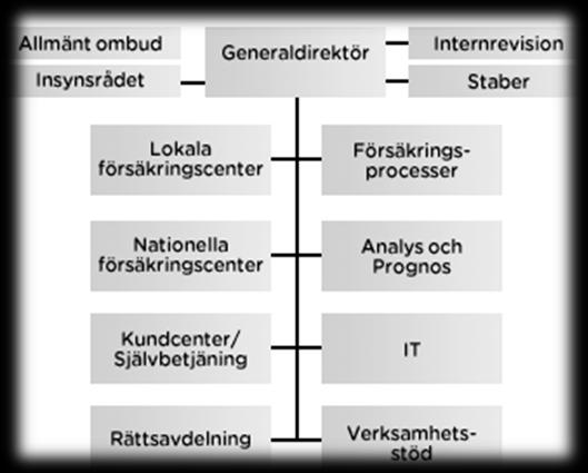 5. Empiri I detta kapitel behandlas studiens empiriska material där det börjar med att redogöras för Försäkringskassans organisation och de enheter som studien grundas på.
