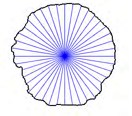 Figur 21 Profilers indelning i radier Profilernas area räknas ut genom att summera alla de 64 cirkelsegmentens areor enligt: A = 2 r * ϕ 2 A= Profilens area r = Radien i det aktuella cirkelsegmentet