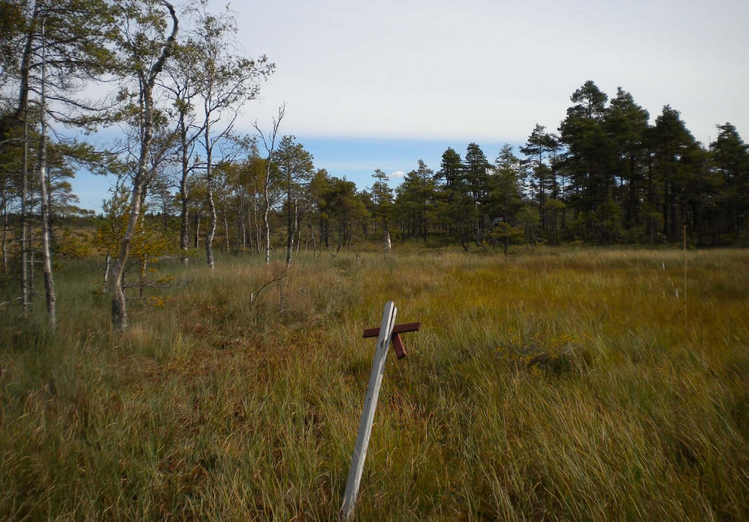 I uppmätningen använde jag måttband och bambukäppar att märka ut området med. Se fig. 9. Figur 9.