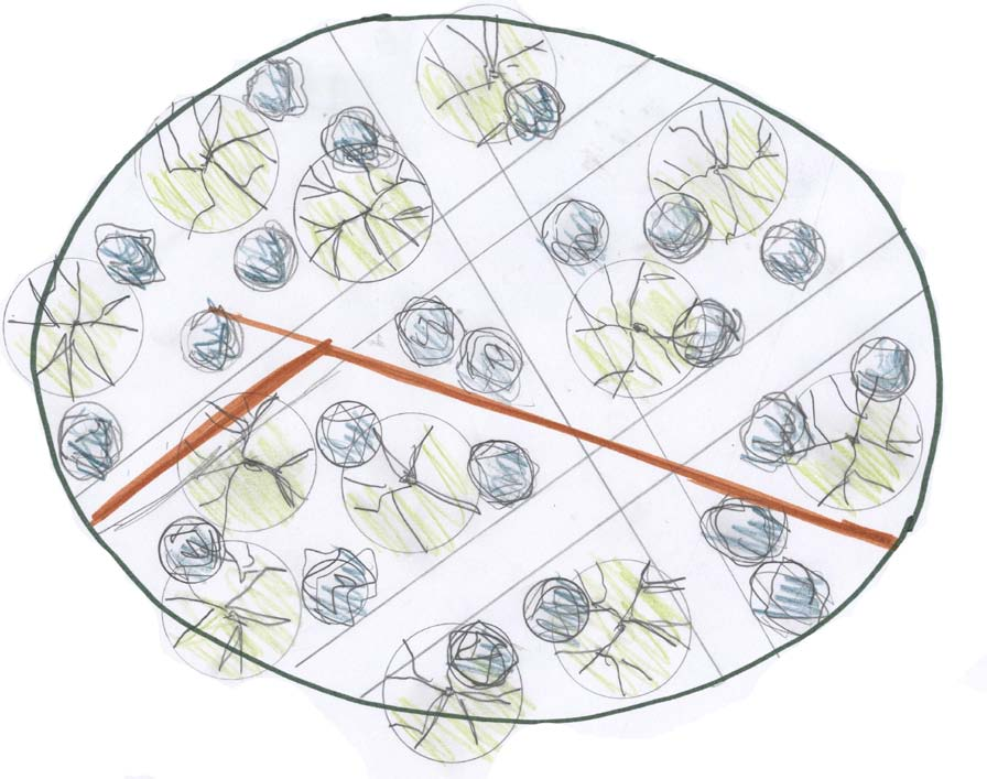 Skissprocessen Anteckningar från mindmap: Halvskugga till skugga Fuktigt Färg: ljushetskontrast Kontraster: stort-smått, formkontrast: runt-rakt, högt-lågt Arkitektoniskt: enkelt/strikt, siktlinjer