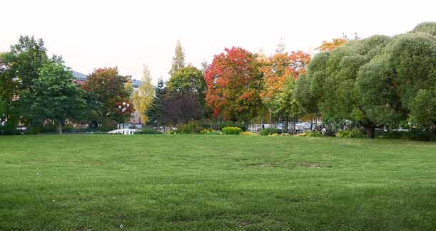 Parken har karaktären av stadspark och används ofta för olika evenemang.