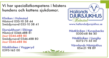 Två V-segrar blev det på Eskilstuna när Breeders Crownfinalerna kördes. I finalen för -åriga ston fick vi njuta av Jerry Riordans Treasure Kronos som kördes förtjänstfullt av Christoffer Eriksson.