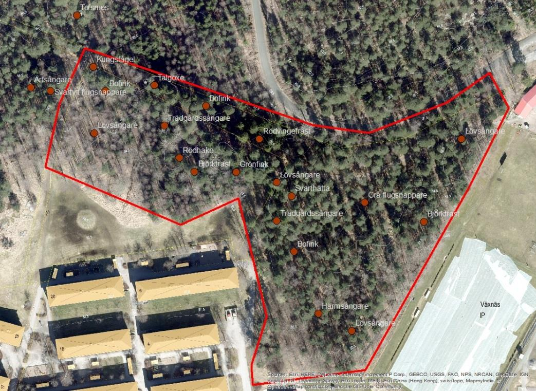 Bild 3. Karta över fågelrevir i utredningsområdet (se även bilaga 1) 6.1 DISKUSSION Det inventerade området är en småskalig mosaik av vanliga svenska skogsbestånd med lite olika karaktär.