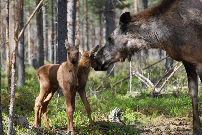 VÄLKOMMEN TILL VALLENTUNA