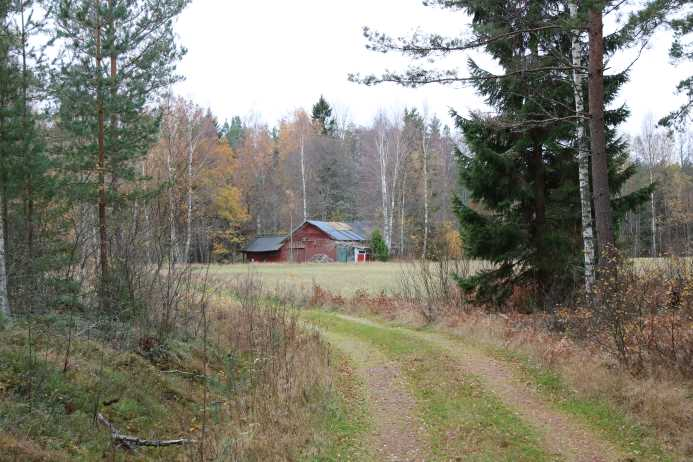 Skog och utmärkt