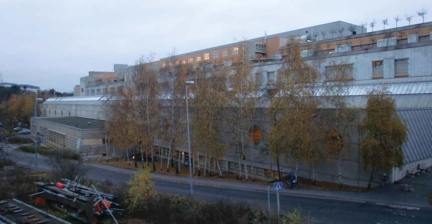 Inom området finns i dag entrézoner för byggnaden, parkeringsytor, naturmark, delar av ett äldre kolonistugeområde, grusytor, inlastningytor, en kommunal gång- och cykelväg samt interna vägar till