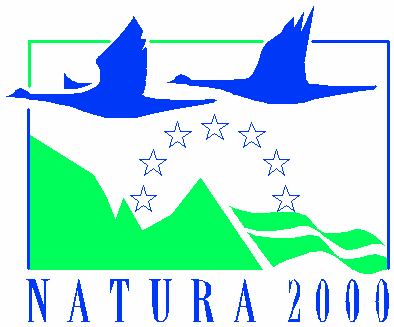 Natura 2000-område SE0610189 Bergs Klätt Dnr 511-6742-05 Bevarandeplan Natura 2000 (Enligt 17 förordningen om områdesskydd 1998:1252) Bergs Klätt, Arvika kommun, Värmlands län Områdeskod och namn: