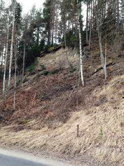 Sida 25 av 114 Längs Faxälven, som är ett biflöde till Ångermanälven, finns förutsättningar för erosion från Ramsele ner till Helgumsjön och mellan Helgumsjön till dess sammanflöde med Ångermanälven.