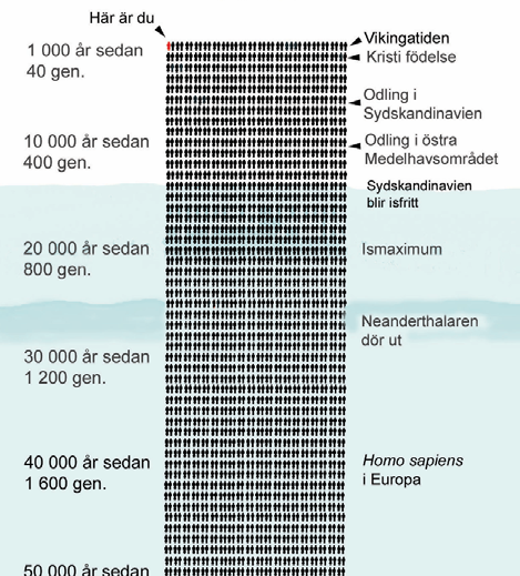 Det förflutna människan i ett långtidsperspektiv fyra