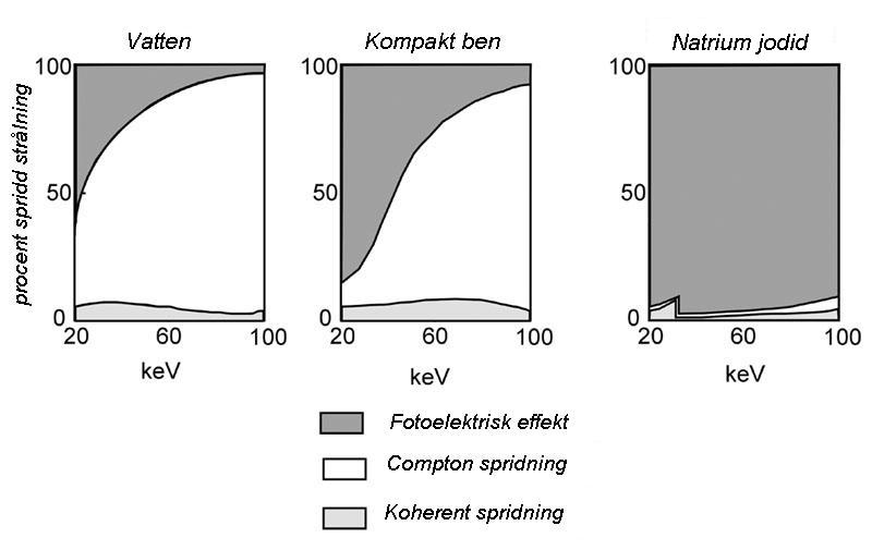 GRUNDLÄGGANDE FYSIK RÖNTGENSTRÅLNING När en röntgenstråles fotoner växelverkar med materia kommer några av strålarna att spridas.