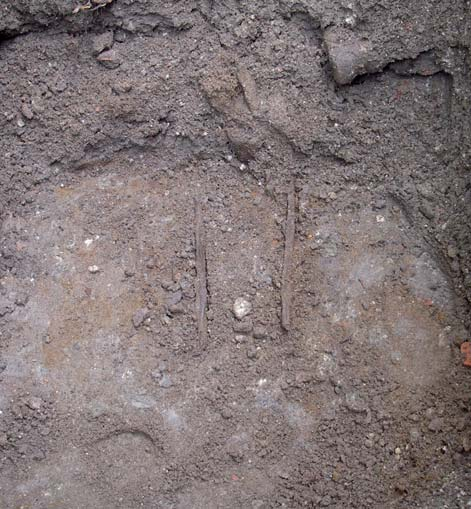 Figur 6. Grav in situ på den stora nedgrävningens botten. Foto Ann-Charlott Feldt, Östergötlands museum. Figur 7.