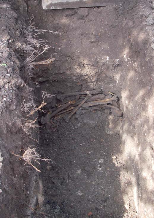 Gravar Huruvida graven och de omgrävda benen härstammar från hospitalets begravningar från 1500-1700-talen eller är gravar som legat under klosterkyrkans golv är oklart.