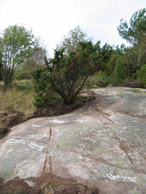 4,7 m SW of panel 4 is: Rock carving panel 6, 3,95x1,25 m (NW-SE), consisting of 6 boats, 2 human figures, ca 15 fragments and 7 cup marks.