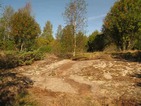 1,9 m NV om yta 8 är: Hällristningsyta 9, 3,3 x1,4 m (ÖNÖ-VSV), bestående av 11 skepp och 1 fragment.