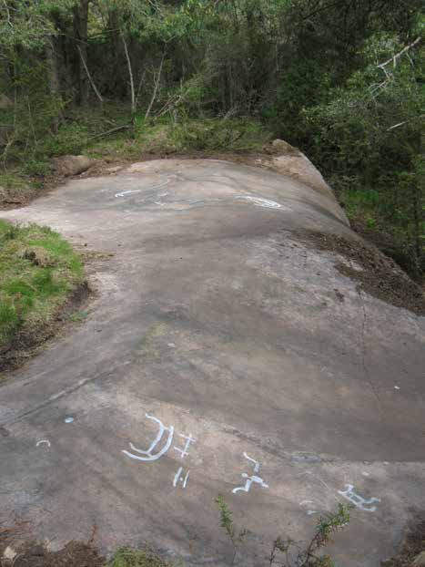 and 0.2-0,6 cm deep. Located on an E-sloping rock with ledges. Orientation: 35 m WNW of main road.