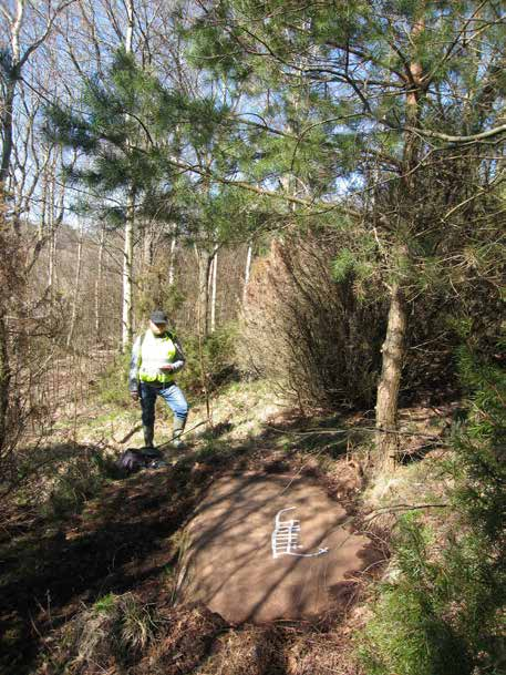 Lyse 194:1 Beskrivning: Hällristning, 0,74x0,33 m (ÖSÖ-VNV), bestående av 1 skepp, 74 cm l, av dubbellinjetyp med spant- och bemanningsstreck. Belägen på svagt SSV-sluttande hällavsats.