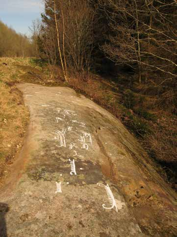 Lyse 611:1 Description: Rock carving, 0,3x0,1 m (E-W), consisting of 2 cup marks, 3,5-5,5 cm in diameter and 0.3-0,8 cm deep. Located on SSW-sloping rock.