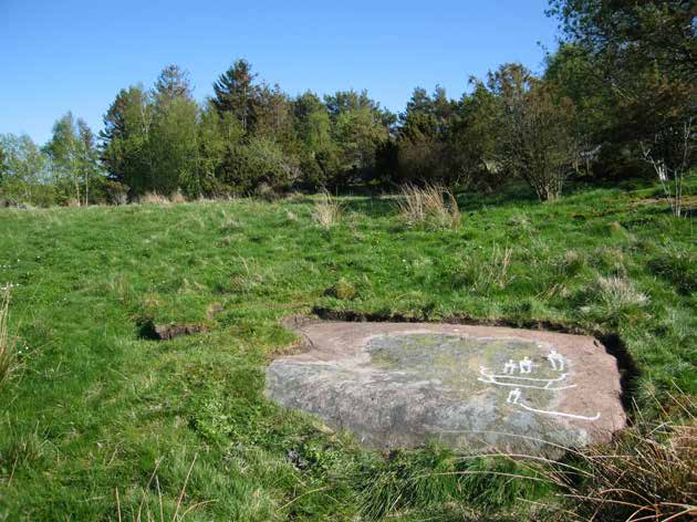 Lyse 657. Miljö mot SÖ. Foto: Andreas Toreld.