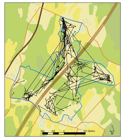 Figur 9. Rörelser hos luktgräsfjäril på en hagmark som genomkorsas av E4:an utanför Ödeshög (Östergötland). Den vänstra bilden visar verkliga rörelser.