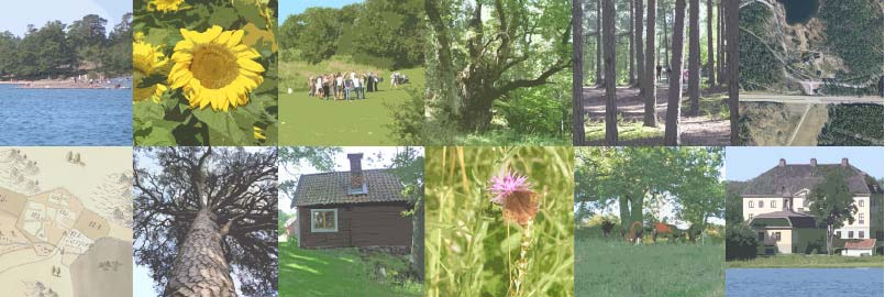 Olika bilder av Erstavik Förslag Handlingsplanen är projektgruppens sammanvägning av de synpunkter på området som framkommit i besöksintervjuerna och de mål som Erstavik har med området.