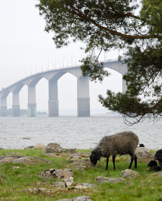 Här är det enkelt att bo och trivas Kvarteret Lingonet ligger i nya stadsdelen Snurrom som knyter ihop Kalmar och Lindsdal. Här är det lika nära till naturen som till stadspulsen.