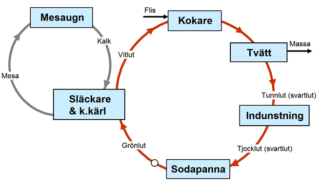 Teori Figur 1. Förenklat flödesschema över kemikalieåtervinningen (Honghi Tran, 2007). 2.2 Vedens kemiska beståndsdelar Ved är uppbyggt av cellulosa, hemicellulosa, lignin och extraktivämnen.