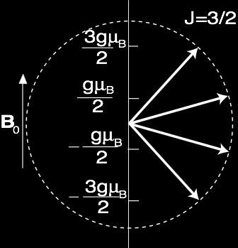 Föreläsning 3 Atomära grunder (huvudkvantal n, bankvantal l, spinnkvantal s, magnetiska kvantal m l och m s ) i) Magnetiskt moment för fri atom med ofyllt elektronskal bestäms av totala