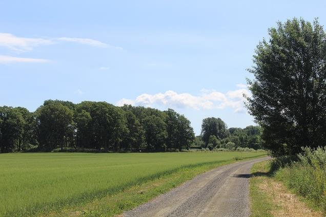 Landskapsbild Småskaligt jordbrukslandskap med inslag av mindre skogspartier