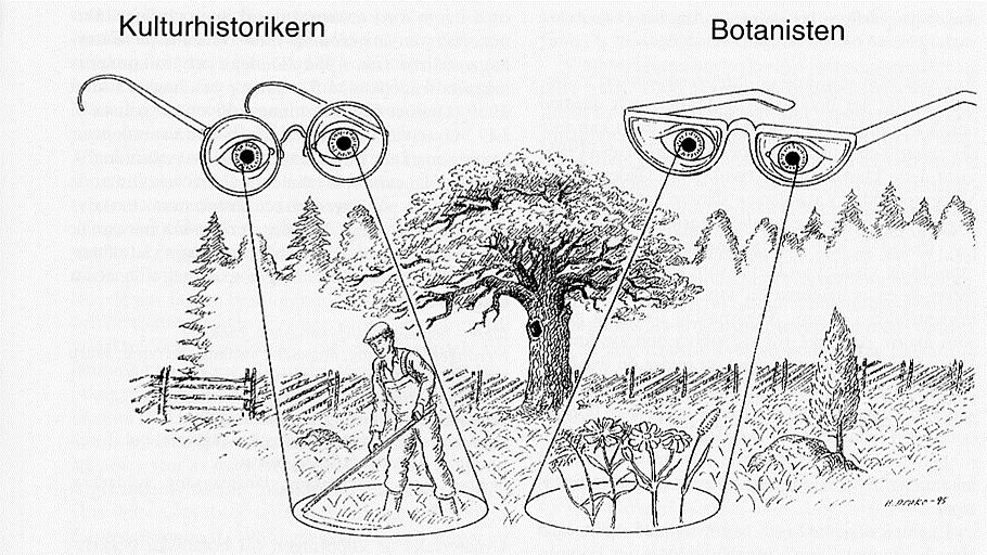 Kan golfbanor bidra till ett multifunktionellt landskap?