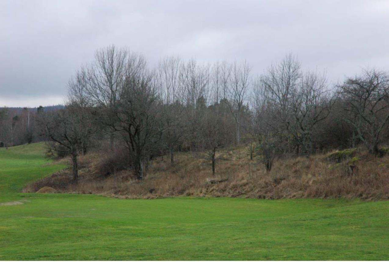 Viktiga biotoper på golfbanan Naturliga gräsmarker(ängar) Lövträd Buskar Kärr