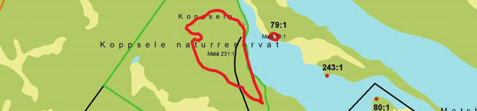 Koppsele var huvudvistet för samerna inom Koppselelandet. Fornlämningsbild I närområdet finns 6 kända fornlämningar, förutom visteplatsen. RAÄ 79:1, 80:1 och 243:1 utgörs av strandbundna boplatser.