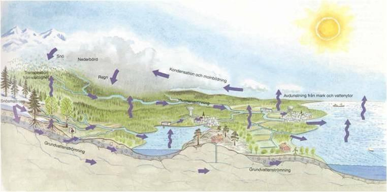 1.4 Verksamhetsområden 1.4.1 Hydrologi Hydrologi omfattar hydrologiska tillämpningar för miljöanpassad och effektiv vattenkraftproduktion, t.ex.