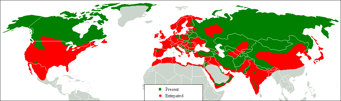 1-10-0 Korsning med varg Södra Kina basal mot varg Varg/hund- split: 33,000 år Global hund- expansion: 1,000 år - 1% i hundar Jämnt över Eurasien Högst i Mellanöstern: 1% Geografisk korrela@on öst-