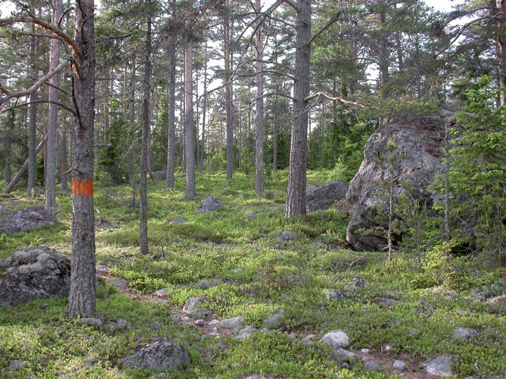 Vandra kustleden och besök några spännande naturreservat! Längst upp i norra delen av Jungfrukusten finns en vacker vandringsled som är sju mil lång.