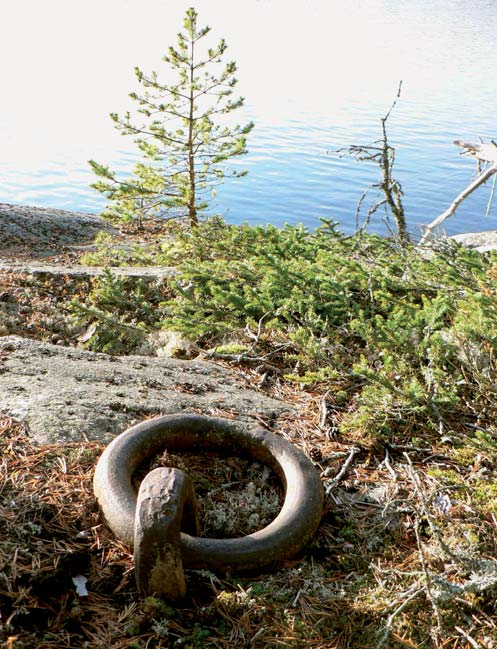 På ön växer knotiga gamla tallar och man kan finna spår av en mängd olika insektsarter och hackspettar.