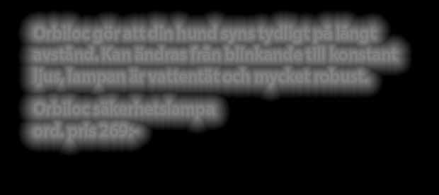 hundfoder som passar hundar